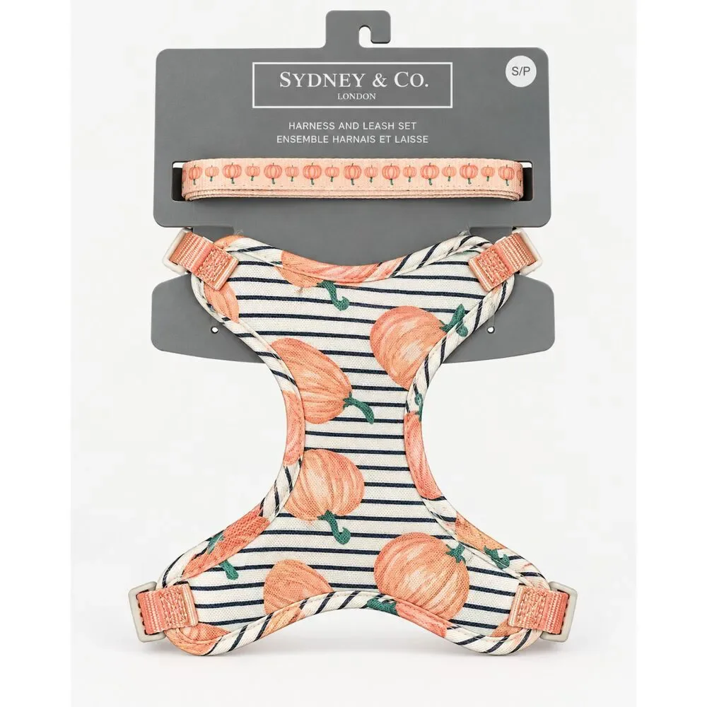 Sydney & Co. Pumpkin Print Dog Harness & Leash Set – Pet Walking Set, Size S/P